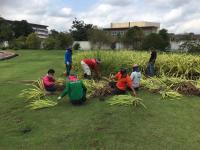 ดำเนินการปรับปรุงภูมิทัศน์พร้อมจัดแต่งสวน บริเวณทางเข้า อบจ.ตาก