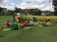 ดำเนินการปรับปรุงภูมิทัศน์พร้อมจัดแต่งสวน บริเวณทางเข้า อบจ.ตาก