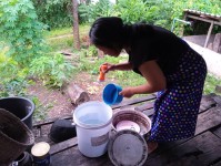 9 ต.ค.67 อาสาสมัครสาธารณสุข หมู่ที่ 2 บ้านตีนธาตุ หมู่ที่ 3 บ้านป่าไร่เหนือและหมู่ที่ 5 บ้านสันป่าไร่ รณรงค์สำรวจและทำลายแหล่งเพาะพันธ์ลูกน้ำยุงลาย รอบแรกเดือนตุลาคม 67