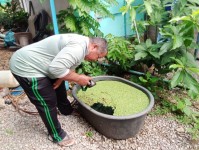 18 ตค. 67 จนท.รพ.สต.บ้านสันป่าไร่ร่วมกับอาสาสมัครสาธารณสุขหมู่ที่ 2 บ้านตีนธาตุ, หมู่ที่3 บ้านป่าไร่เหนือและหมู่ที่ 5 บ้านสันป่าไร่ รณรงค์สำรวจและทำลายแหล่งเพาะพันธ์ลูกน้ำยุงลาย รอบที่ 2 เดือนตุลาคม 67