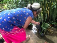 18 ตค. 67 จนท.รพ.สต.บ้านสันป่าไร่ร่วมกับอาสาสมัครสาธารณสุขหมู่ที่ 2 บ้านตีนธาตุ, หมู่ที่3 บ้านป่าไร่เหนือและหมู่ที่ 5 บ้านสันป่าไร่ รณรงค์สำรวจและทำลายแหล่งเพาะพันธ์ลูกน้ำยุงลาย รอบที่ 2 เดือนตุลาคม 67