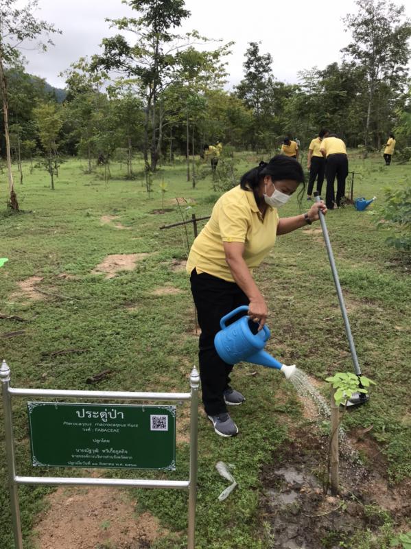 เข้าร่วมโครงการวันรักต้นไม้ประจำปีของชาติ พ.ศ. 2563 จังหวัดตาก