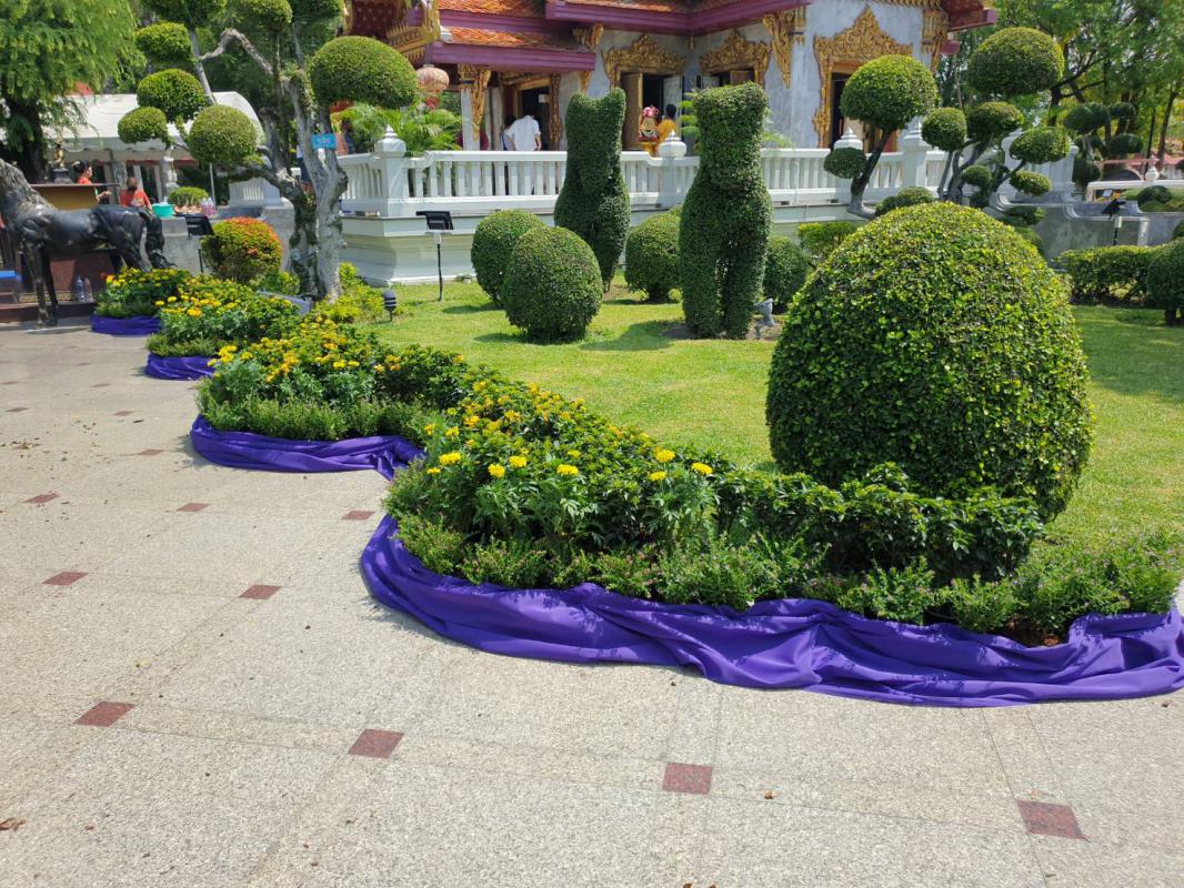 ดำเนินการจัดประดับ และตกแต่งต้นไม้ ดอกไม้ เพื่อเตรียมความพร้อมสำหรับการจัดงาน "วันคล้ายวันพระราชสมภพ - สรงน้ำ สมเด็จพระเจ้าตากสินมหาราช
