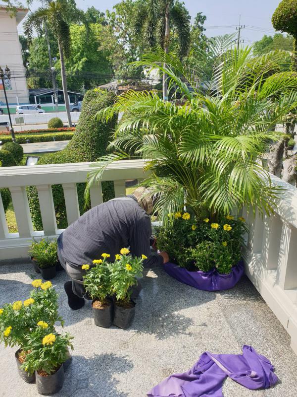 ดำเนินการจัดประดับ และตกแต่งต้นไม้ ดอกไม้ เพื่อเตรียมความพร้อมสำหรับการจัดงาน "วันคล้ายวันพระราชสมภพ - สรงน้ำ สมเด็จพระเจ้าตากสินมหาราช