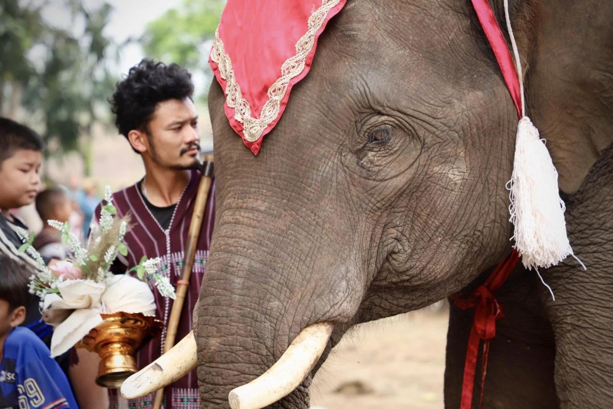 นายกองค์การบริหารส่วนจังหวัดตาก เป็นประธานเปิดโครงการส่งเสริมการท่องเที่ยว(วันช้างไทย)