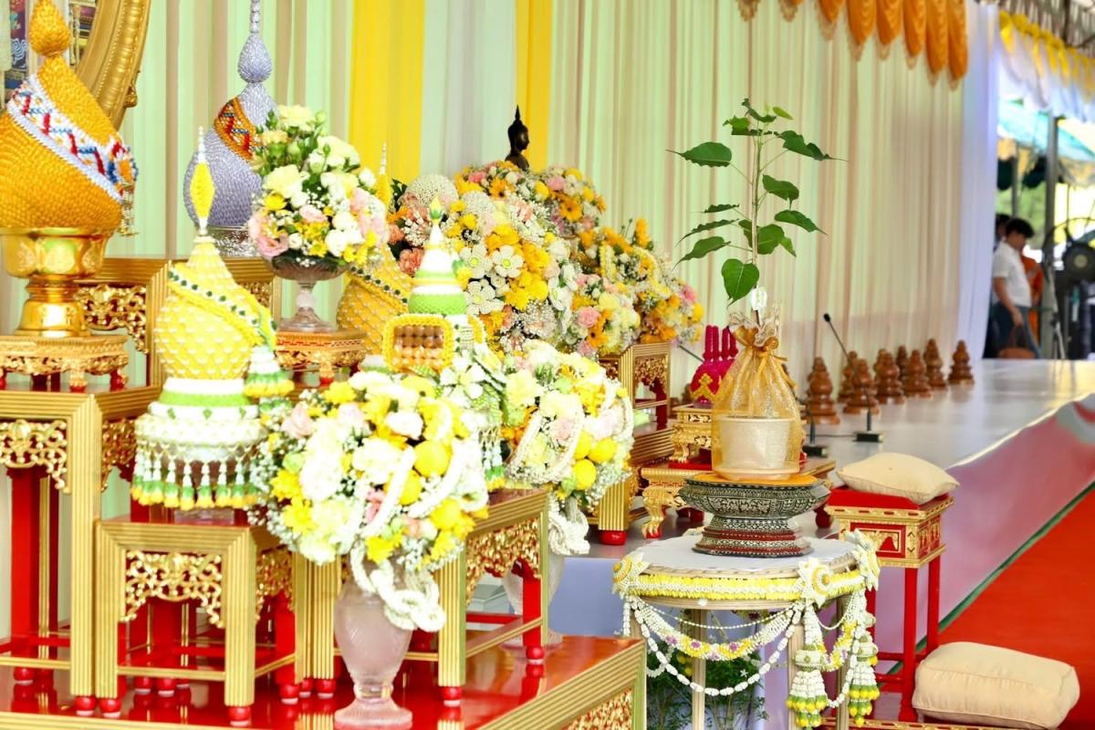 นายก อบจ.ตาก มอบหมายให้เลขาฯ เข้าร่วมพิธี ทำบุญตักบาตร พิธีปลูก “พระศรีมหาโพธิทศมราชบพิตร”