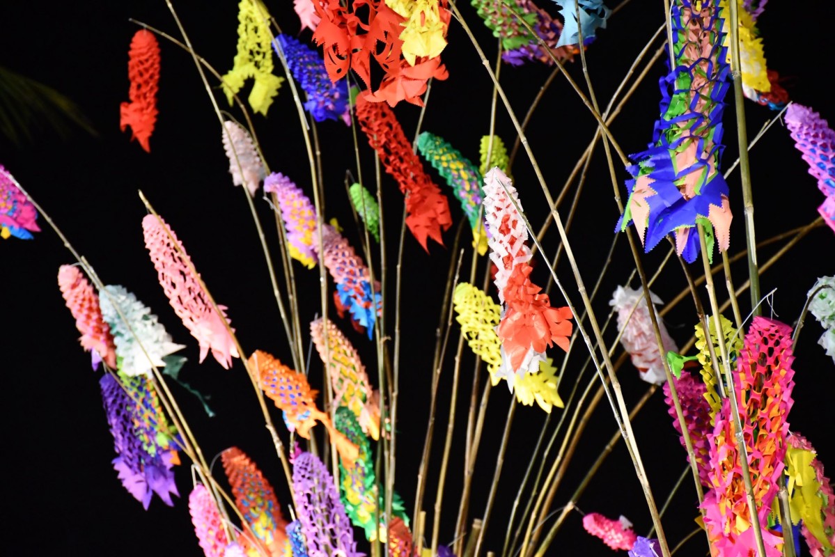 659212208_1396087625896764_317874348544524149_n