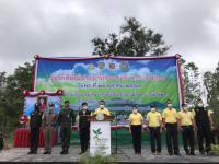 เข้าร่วมโครงการวันรักต้นไม้ประจำปีของชาติ พ.ศ. 2563 จังหวัดตาก