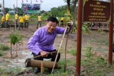กิจกรรมปลูกต้นไม้เฉลิมพระเกียรติ เนื่องในโอกาสวันคล้ายวันพระราชสมภพสมเด็จพระศรีนครินทราบรมราชชนนี และเป็น“วันรักต้นไม้ประจำปีของชาติ”