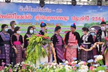 ร่วมพิธีเปิดงานสืบสานประเพณีปีใหม่ม้ง อำเภอพบพระ ประจำปีงบประมาณ 2564