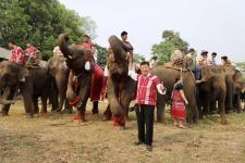 นายกองค์การบริหารส่วนจังหวัดตาก เป็นประธานเปิดโครงการส่งเสริมการท่องเที่ยว(วันช้างไทย)