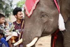 นายกองค์การบริหารส่วนจังหวัดตาก เป็นประธานเปิดโครงการส่งเสริมการท่องเที่ยว(วันช้างไทย)