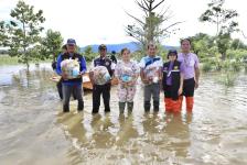 รองนายกองค์การบริหารส่วนจังหวัดตาก พร้อมทั้งหัวหน้าส่วนราชการ ที่เกี่ยวข้อง ลงพื้นที่ติดตามสถานการณ์ อุทกภัย