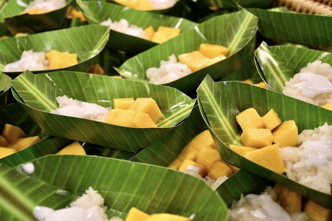 662012149_1396087329230127_6903784345473420004_n